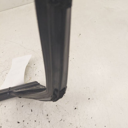 Ford Edge Door Glass Window Seal Rubber Left Driver Rear Back  2019 20