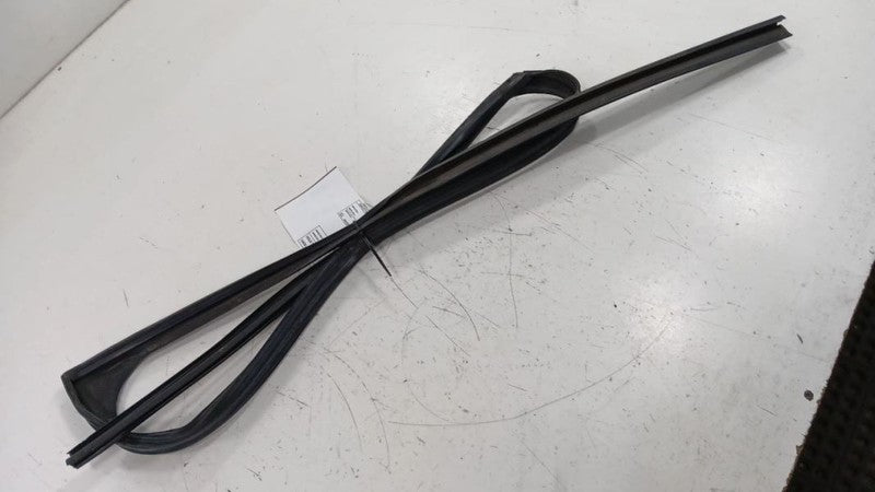 Acura MDX Door Glass Window Seal Rubber Left Driver Front 2010 2011 20