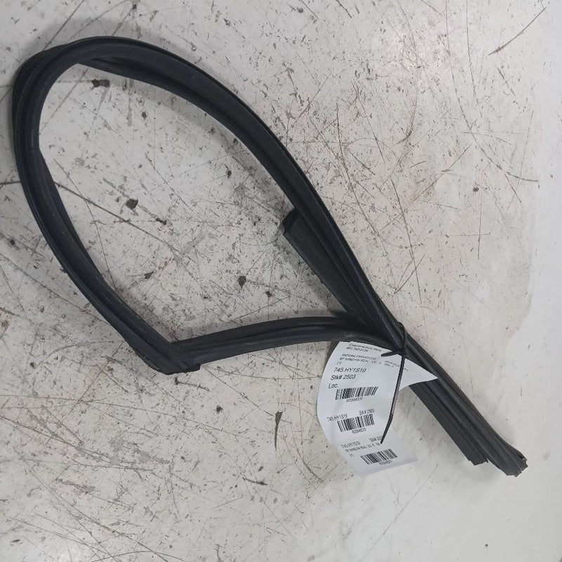 Hyundai Elantra Door Glass Window Seal Rubber Right Passenger Front  2