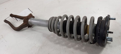 5461139404 Passenger Right Strut Front Fits 01-05 XG SERIES