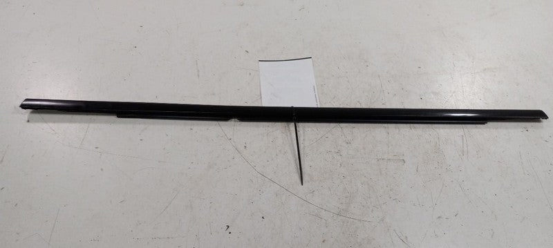 Dodge Dart Door Glass Window Weather Strip Trim Rear Right Pass. Side 