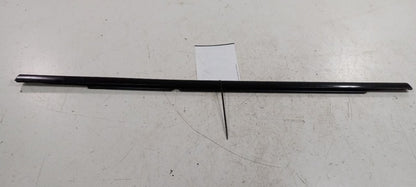 Dodge Dart Door Glass Window Weather Strip Trim Rear Right Pass. Side 