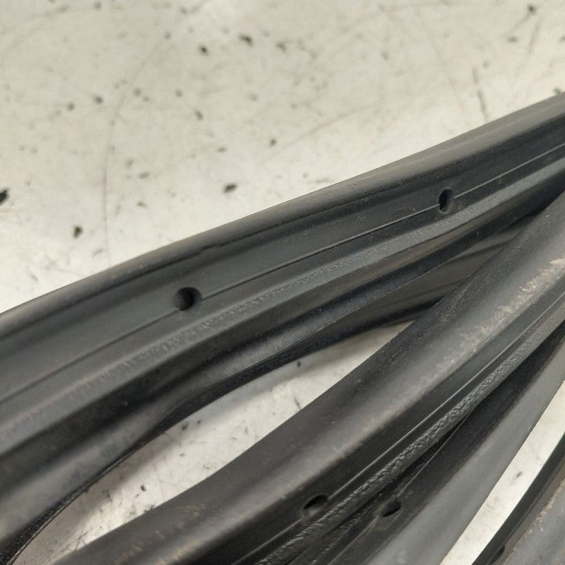 Chevy Volt On Door Seal Rubber Left Driver Rear Back  2019 2018 2017 2