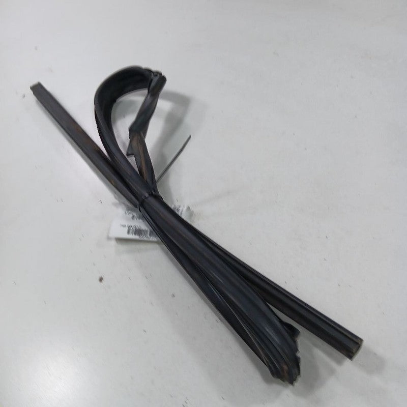 Nissan Altima Door Glass Window Seal Rubber Right Passenger Rear Back 
