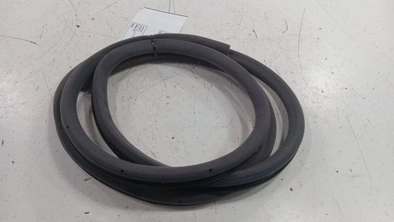 Lexus LS460 On Body Door Jamb Seal Rear Right Passenger Back  2007 200