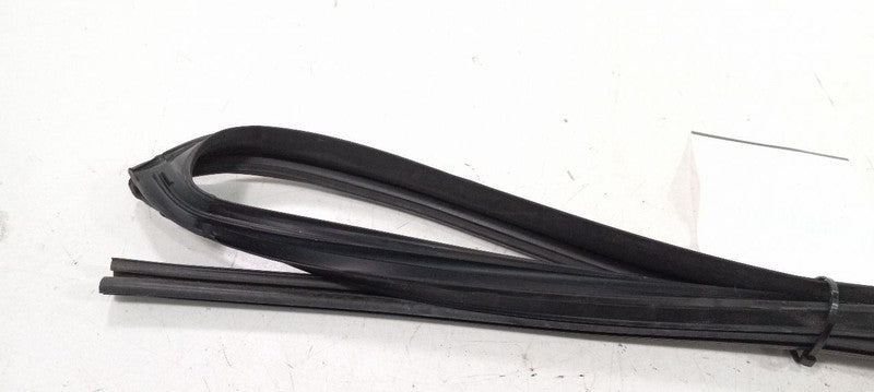 Lexus GS350 Door Glass Window Seal Rubber Right Passenger Rear Back 20