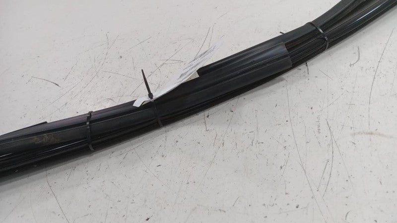 Dodge Dart Door Glass Window Seal Rubber Right Passenger Front  2013 2014 2015 2