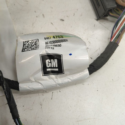 Chevy Equinox Door Harness Wire Wiring Left Driver Front  2024 2023 20