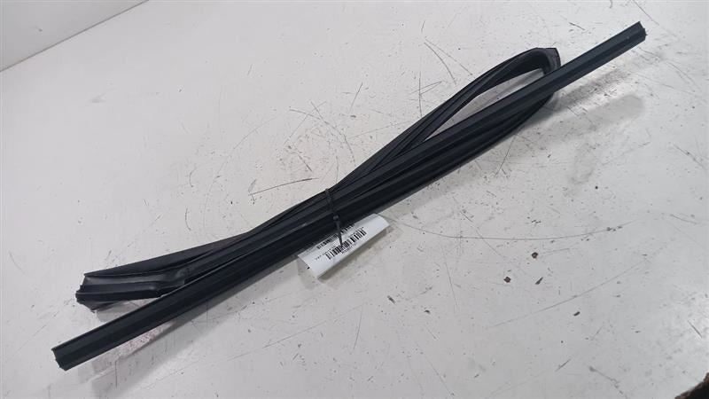 Nissan Rogue Door Glass Window Seal Rubber Left Rear Back  2014 2015 2016
