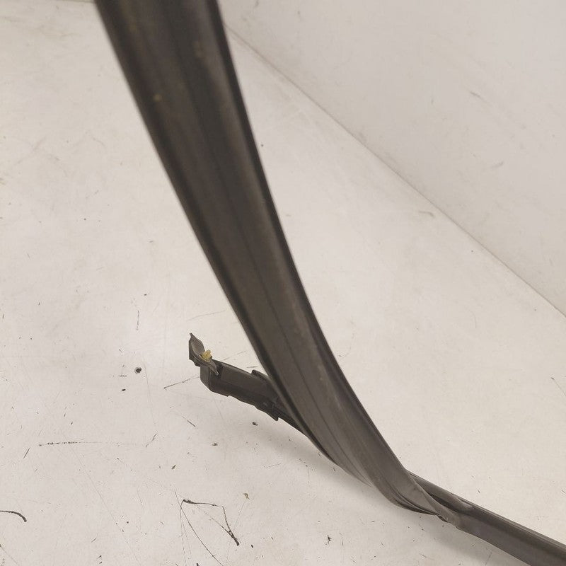 Chevy Equinox Door Glass Window Seal Rubber Left Driver Front  2024 20