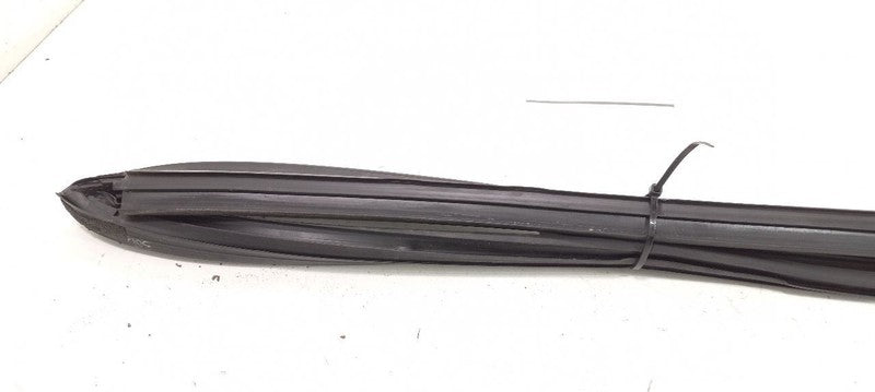 Nissan Altima Door Glass Window Seal Rubber Right Passenger Rear Back 2010 2009 