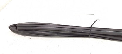 Nissan Altima Door Glass Window Seal Rubber Right Passenger Rear Back 2010 2009 