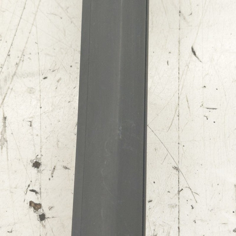Volkswagen Golf Door Glass Window Weather Strip Trim Rear Right Passen