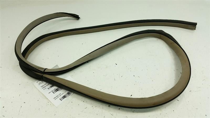 Nissan Altima On Body Door Jamb Seal Gasket Rear Left Back 2004 2005 2006 OEM