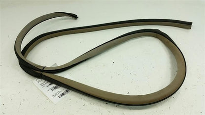 Nissan Altima On Body Door Jamb Seal Gasket Rear Left Back 2004 2005 2006 OEM