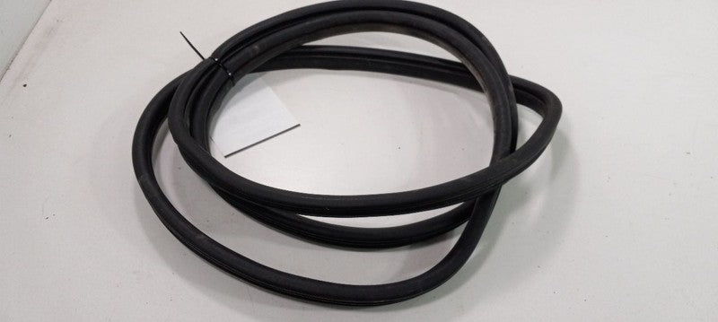 Hyundai Santa Fe On Body Door Jamb Seal Front Right Passenger 2010 2011 2012