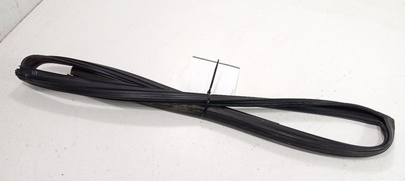 Nissan Maxima Door Glass Window Seal Rubber Right Passenger Rear Back 2011 2012 
