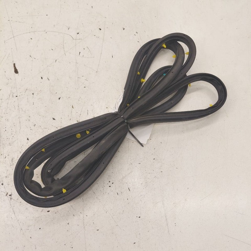 Kia Sorento On Door Seal Rubber Right Passenger Front  2018 2017 2016