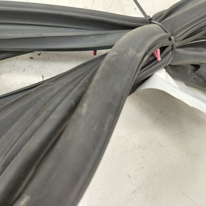 Toyota Prius On Door Seal Rubber Right Passenger Front  2022 2021 2020