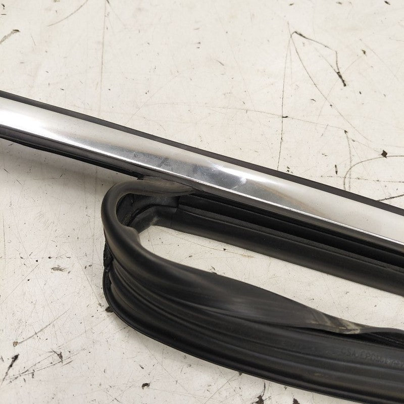 Cadillac CT6 Door Glass Window Seal Rubber Left Driver Front  2018 201