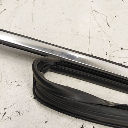Cadillac CT6 Door Glass Window Seal Rubber Left Driver Front  2018 201