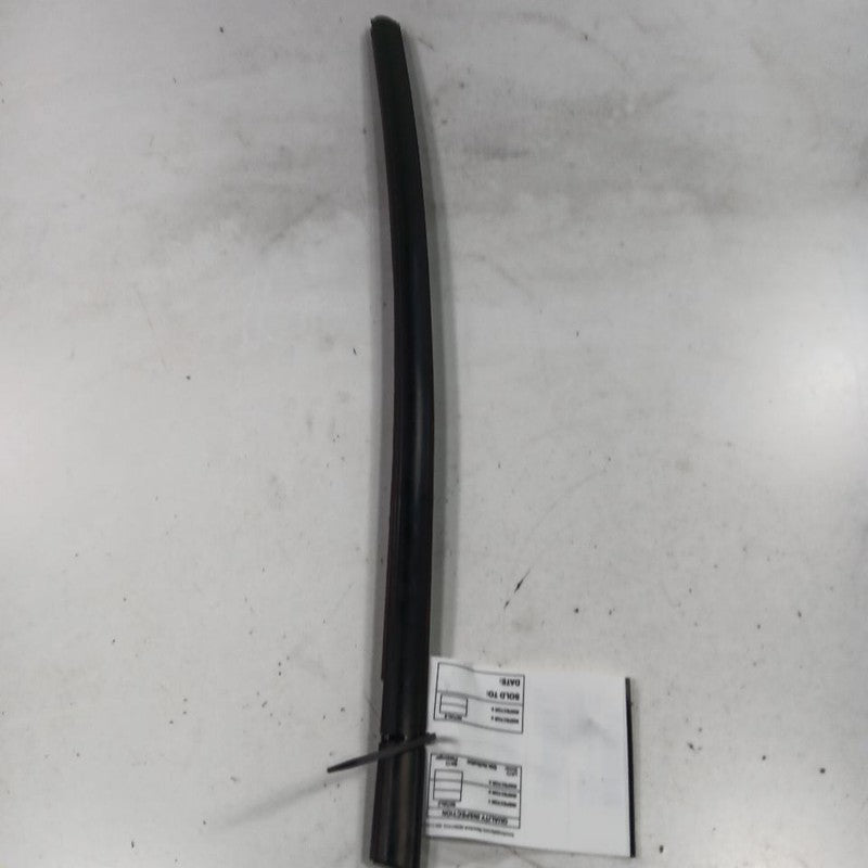 Ford Ecosport Door Glass Window Weather Strip Trim Rear Left Driver Ba