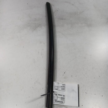 Ford Ecosport Door Glass Window Weather Strip Trim Rear Left Driver Ba
