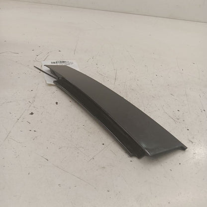 Cadillac XTS Passenger Right Rear Door Applique      2016 2017 2018