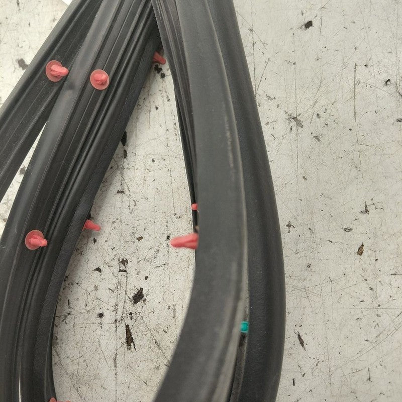 Hyundai Santa Fe On Door Seal Rubber Left Driver Rear Back  2019 2020