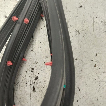 Hyundai Santa Fe On Door Seal Rubber Left Driver Rear Back  2019 2020