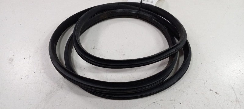 Hyundai Elantra On Body Door Jamb Seal Rear Right Passenger Back 2013 2014 2015 