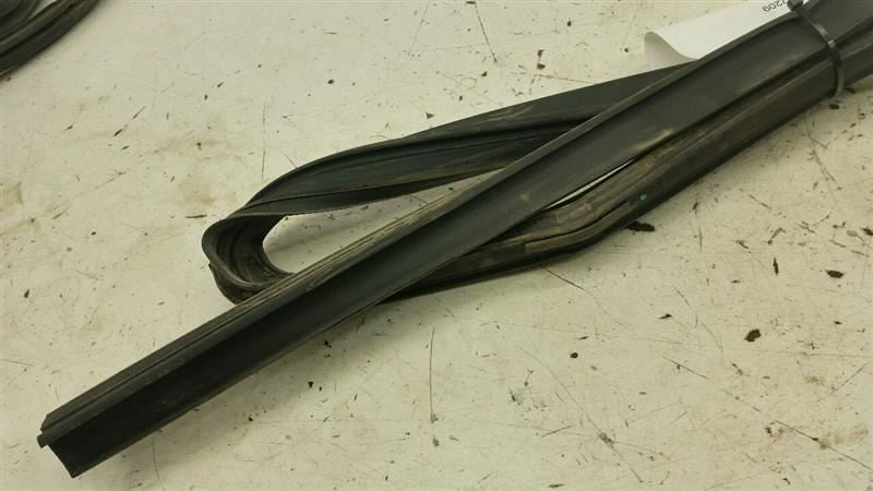 Dodge Journey Door Glass Window Seal Rubber Gasket Right Passenger Rear 2009