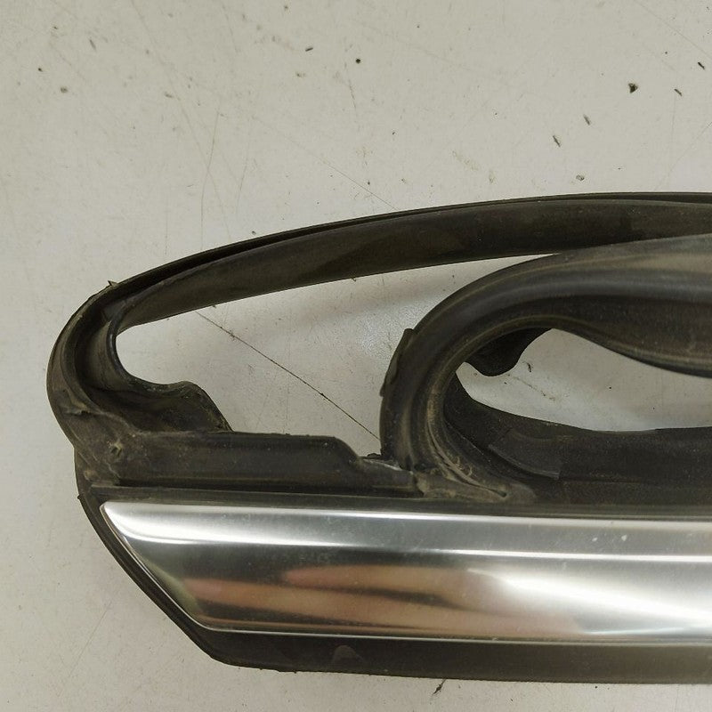 Cadillac XTS Door Glass Window Seal Rubber Left Driver Rear Back      