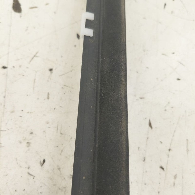 Kia Sportage Door Glass Window Weather Strip Trim Front Right Passenge