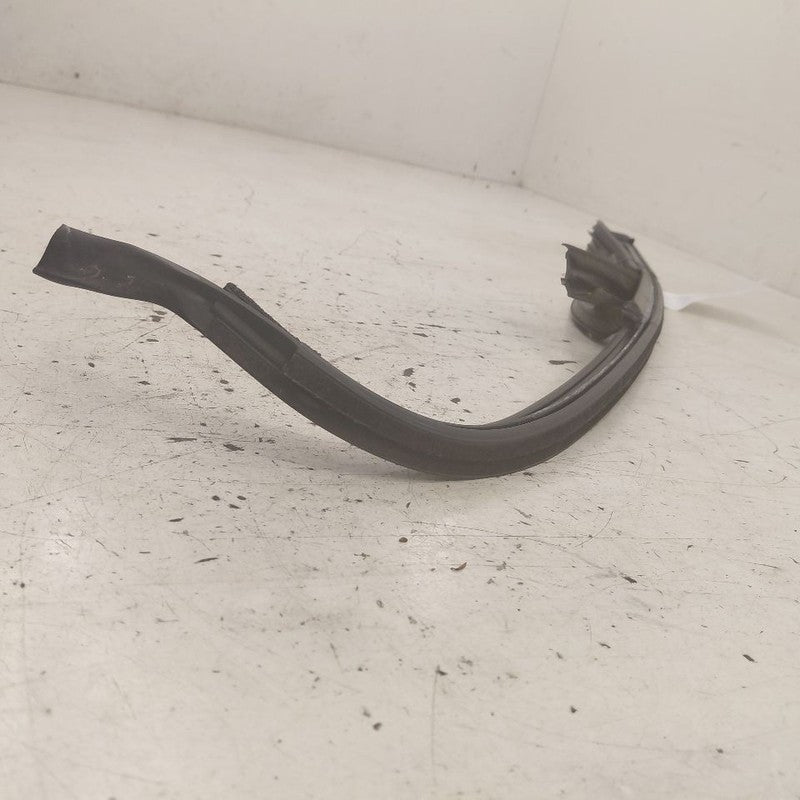 Volvo S60 Door Glass Window Seal Rubber Right Passenger Rear Back 2013