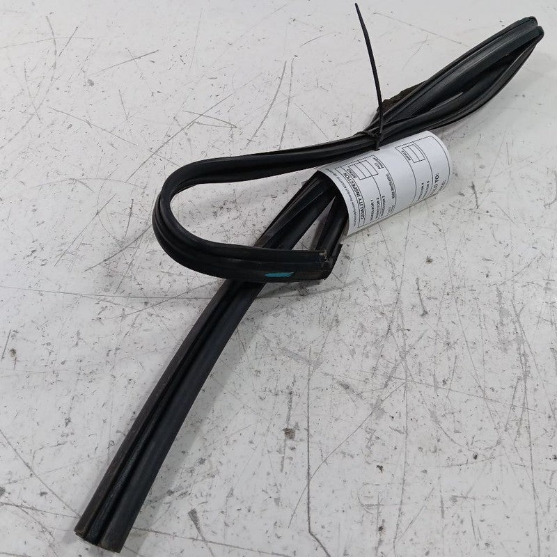 Ford Fiesta Door Glass Window Seal Rubber Left Rear Back  2014 2015 20