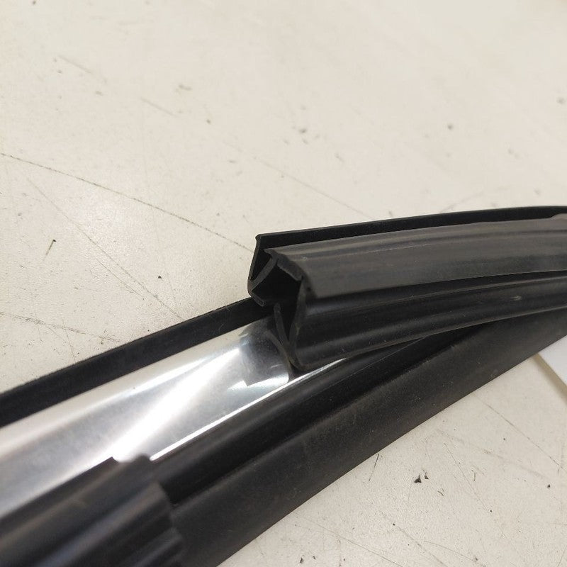 Chevy Volt Door Glass Window Seal Rubber Right Passenger Front  2019 2
