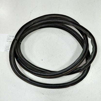 Hyundai Elantra Trunk Lid Hatch Door Rear Back Rubber Seal  2024 2023 