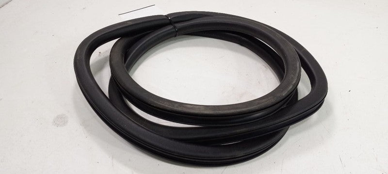 Chrysler 200 On Body Door Jamb Seal Rear Left Back 2015 2016 2017 OEM