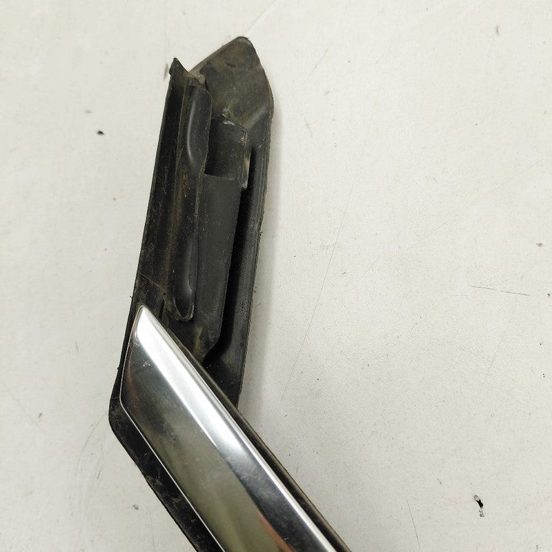 Cadillac XTS Door Glass Window Seal Rubber Right Passenger Front      