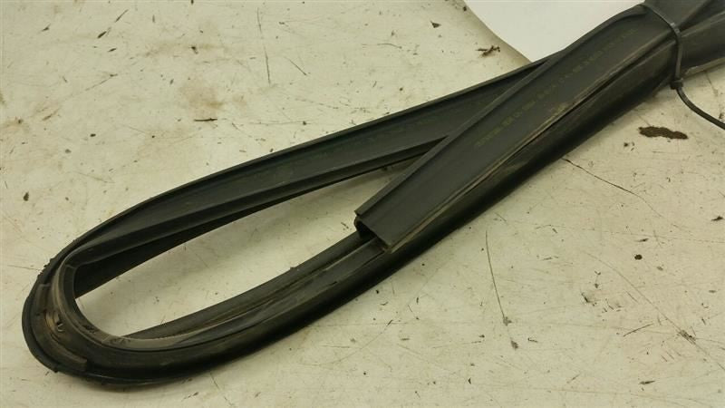 Dodge Journey Door Glass Window Seal Rubber Gasket Left Rear Back 2009
