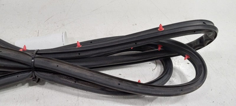 Kia Sorento On Door Seal Rubber Left Rear Back 2016 2017 2018 OEM