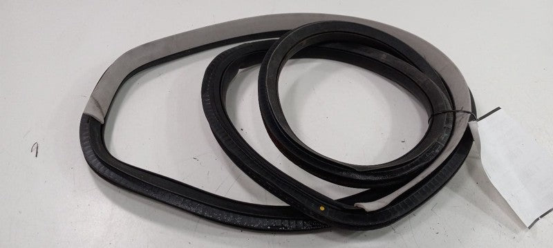 Volkswagen Jetta On Body Door Jamb Seal Rear Left Back 2003 2002 2001 