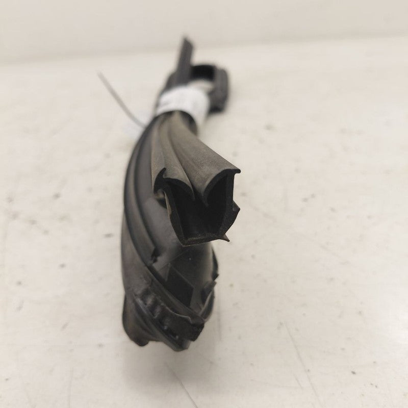 Nissan Murano Door Glass Window Seal Rubber Right Passenger Rear Back 