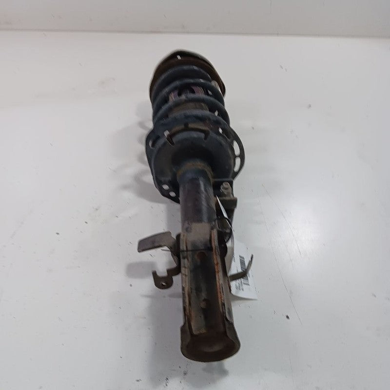 Driver Left Front Strut Fits 23-24 Ford Bronco Sport OEM