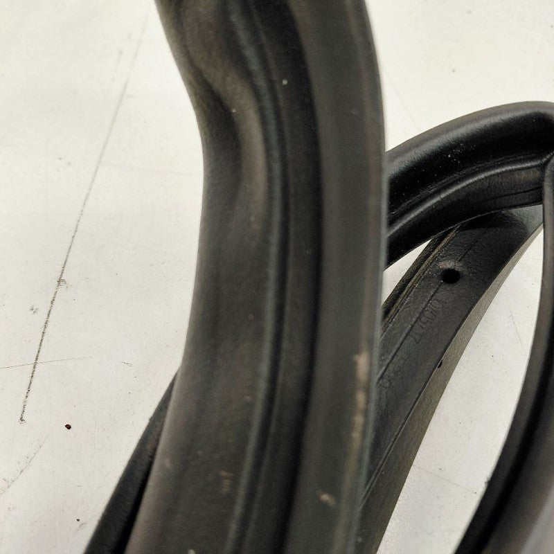 Nissan Maxima On Door Seal Rubber Right Passenger Rear Back  2018 2017