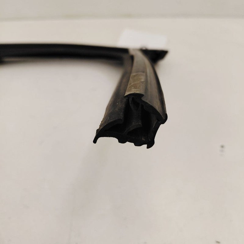 Chevy Trailblazer Door Glass Window Seal Rubber Left Driver Front 2023