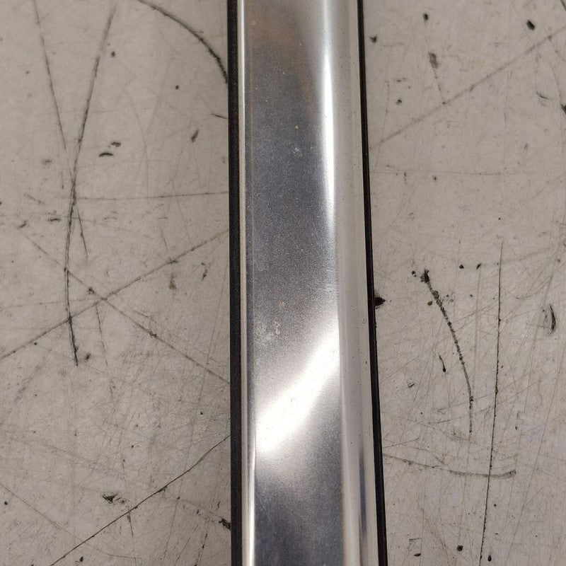 Volvo S60 Door Glass Window Weather Strip Trim Rear Left Driver Back  