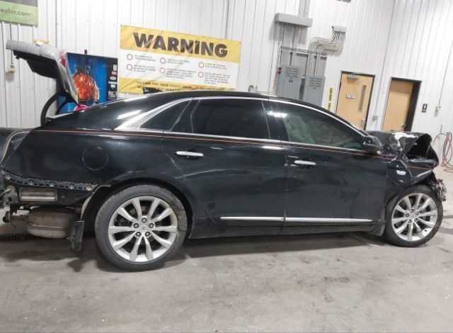 Cadillac XTS Trunk Lid Hatch Door Rear Back Rubber Seal      2016 2017