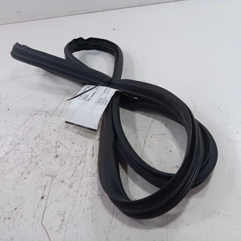 Ford Ecosport On Body Door Jamb Seal Rear Left Back  2018 2019 2020 20